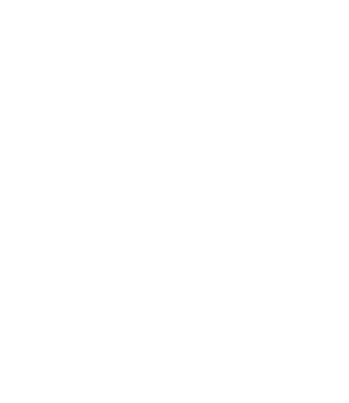 e Icon